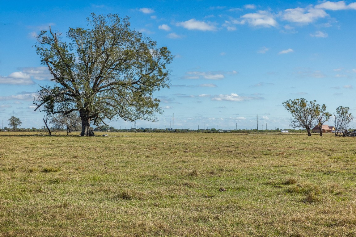 Tbd Johnston Road Wallis, TX 77485 - Photo 3 of 25 a view of a yard