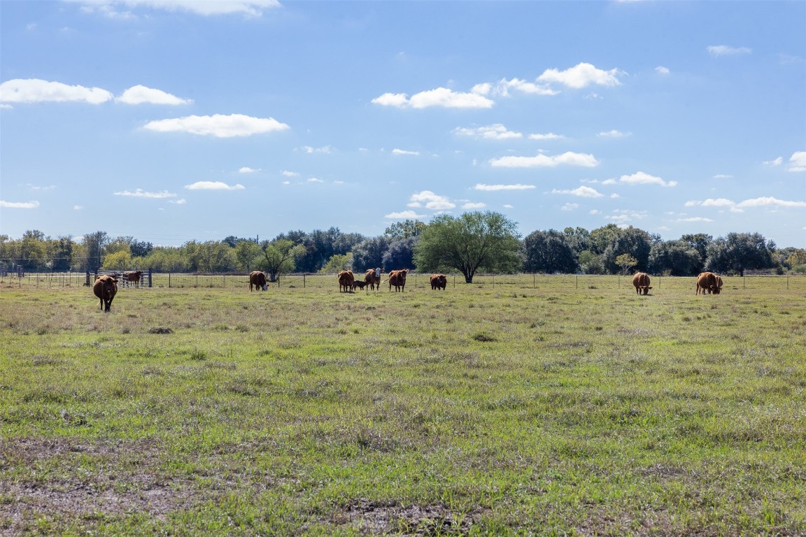 Tbd Johnston Road Wallis, TX 77485 - Photo 8 of 25 a view of a lake view