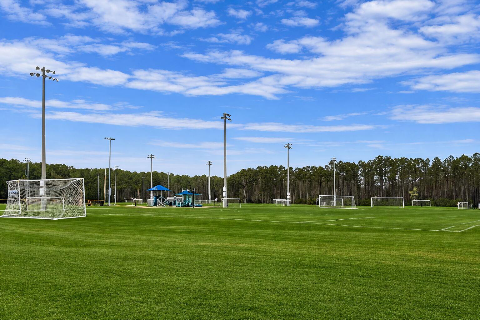 3818 Fifle Street Mount Pleasant, SC 29466 - Photo 52 of 59 Soccer fields