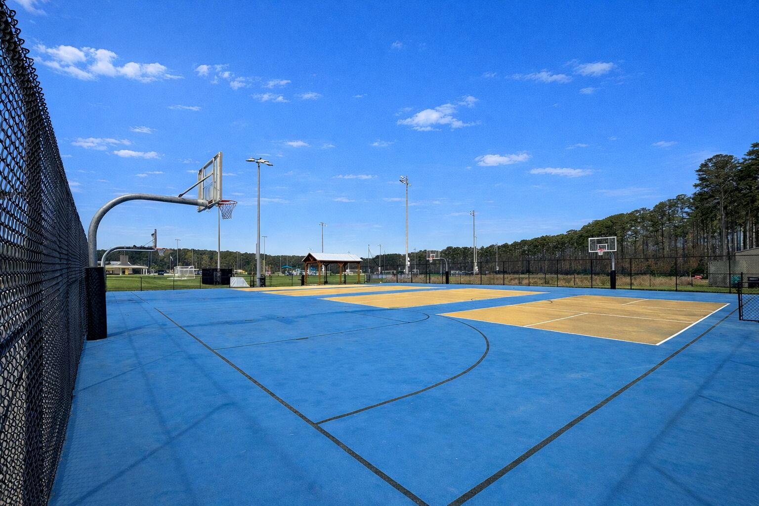 3818 Fifle Street Mount Pleasant, SC 29466 - Photo 53 of 59 Basketball courts