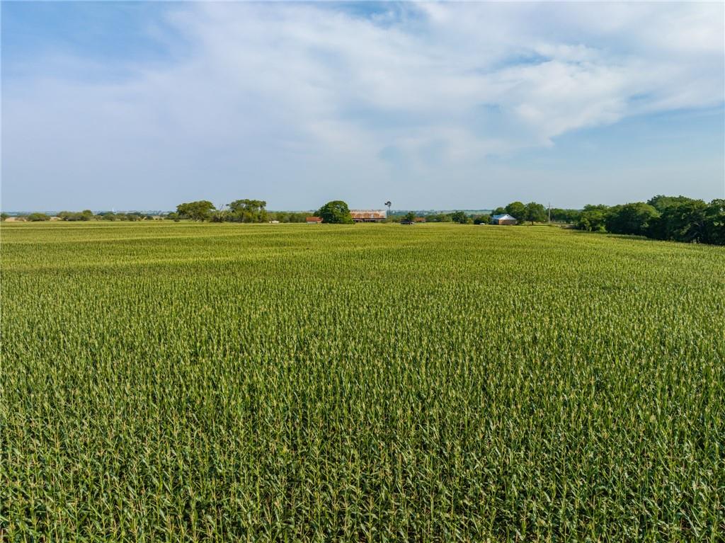 16401 Cedar Rock Parkway Crawford, TX 76638 - Photo 19 of 81 a view of a green field with lots of green space