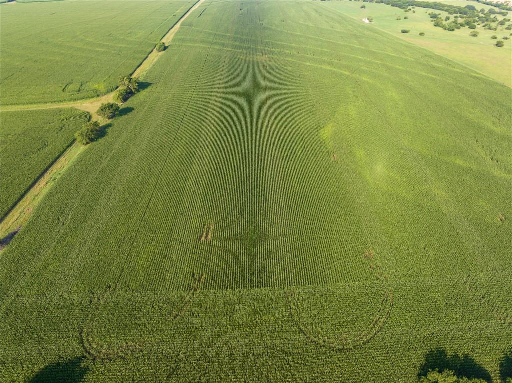 16401 Cedar Rock Parkway Crawford, TX 76638 - Photo 23 of 81
