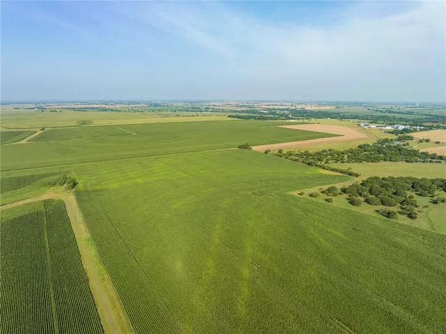 a view of a garden with a house