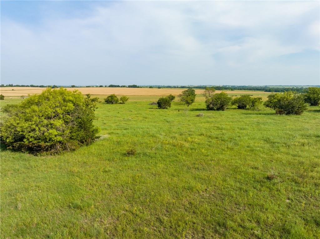 16401 Cedar Rock Parkway Crawford, TX 76638 - Photo 44 of 81