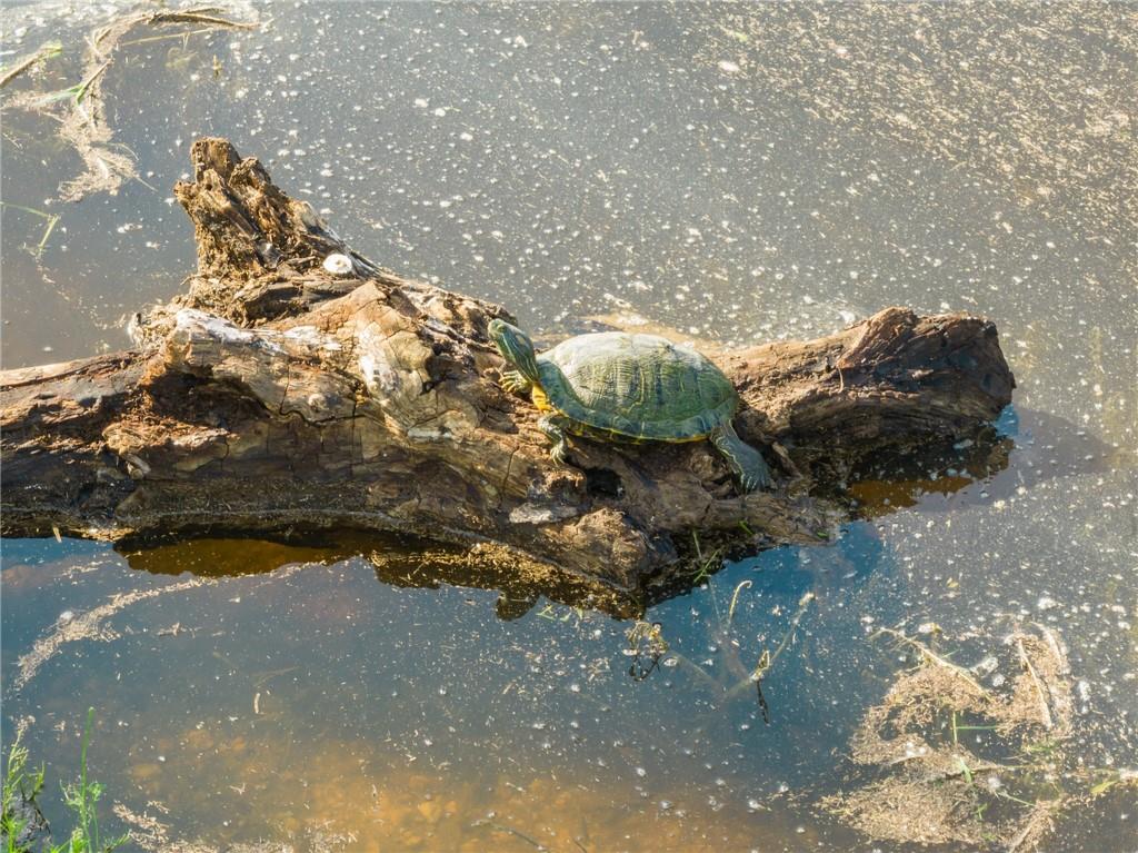 16401 Cedar Rock Parkway Crawford, TX 76638 - Photo 56 of 81