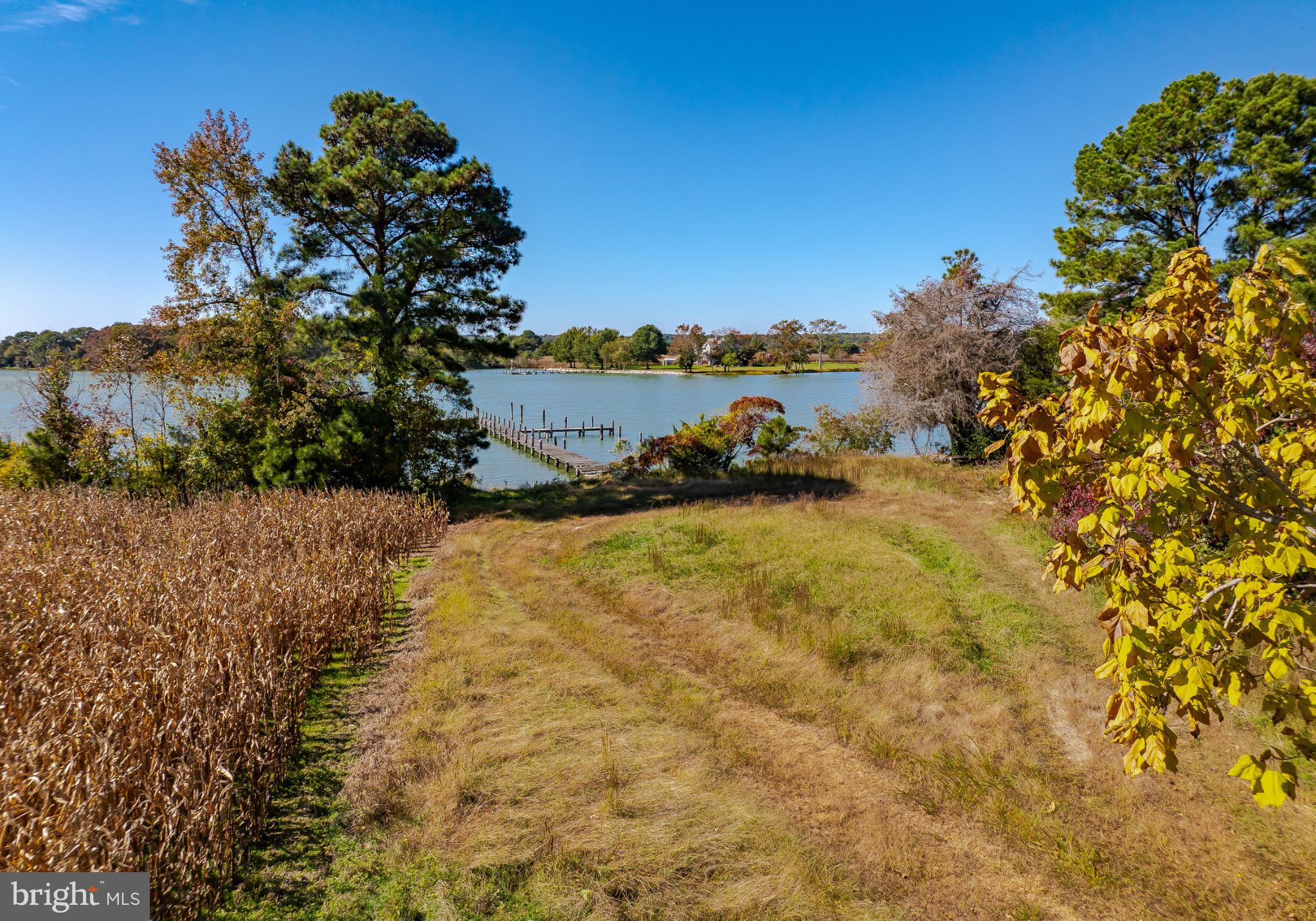50645 Holly Point Road Dameron, MD 20628 - Photo 52 of 99