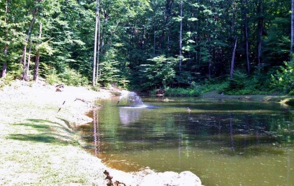 537 Westling Ridge Road Crawley, WV 24931 - Photo 80 of 100 Gallery Image 80