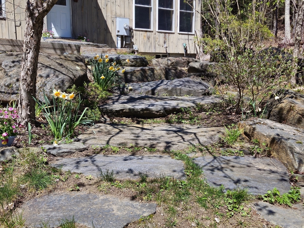 544 Spruce Corner Road Ashfield, MA 01330 - Photo 30 of 32 a view of a yard with plants