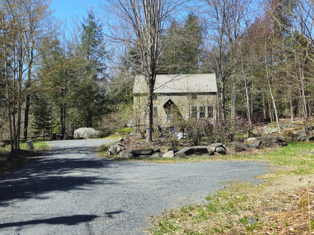 544 Spruce Corner Road Ashfield, MA 01330 - Photo 3 of 32 a view of yard with tree in it