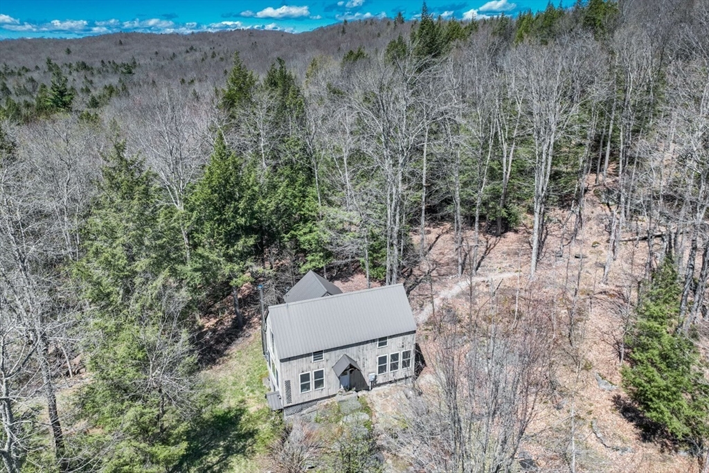 544 Spruce Corner Road Ashfield, MA 01330 - Photo 7 of 32 a view of a backyard