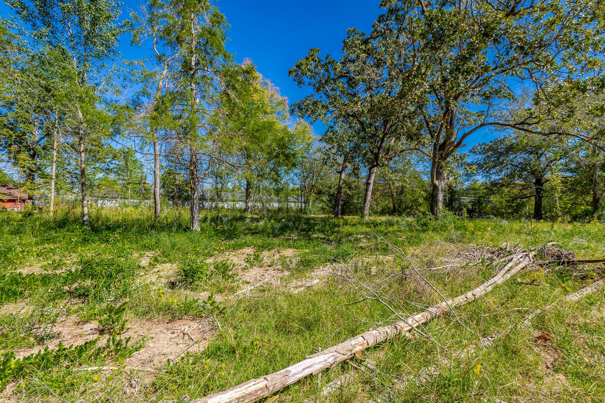929 Horne Road Hixson, TN 37343 - Photo 10 of 47 Gallery Image 10