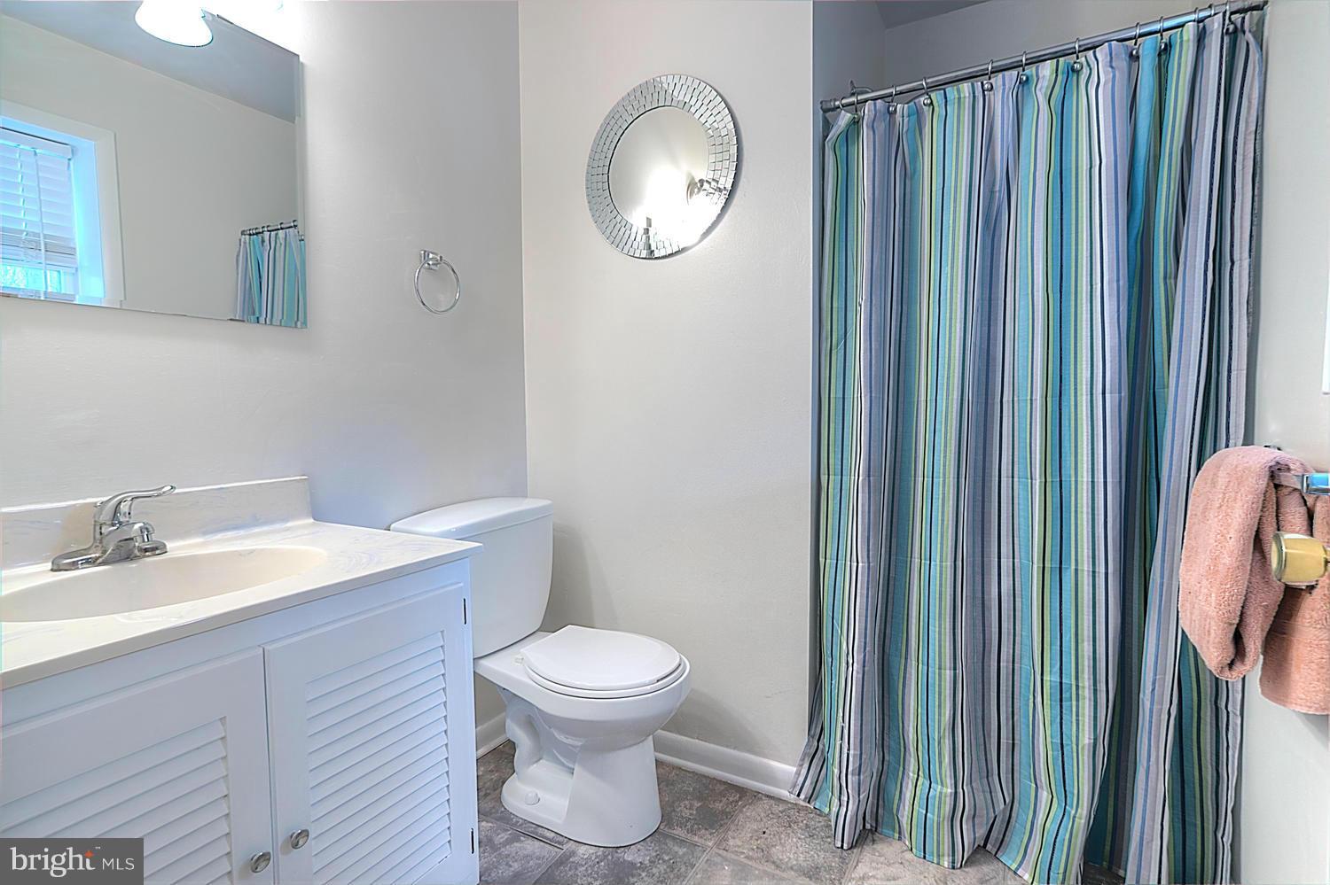 3939 Hodges Road Monkton, MD 21111 - Photo 20 of 30 Lwr Lvl Full Bath with Vanity and Walk-In Shower