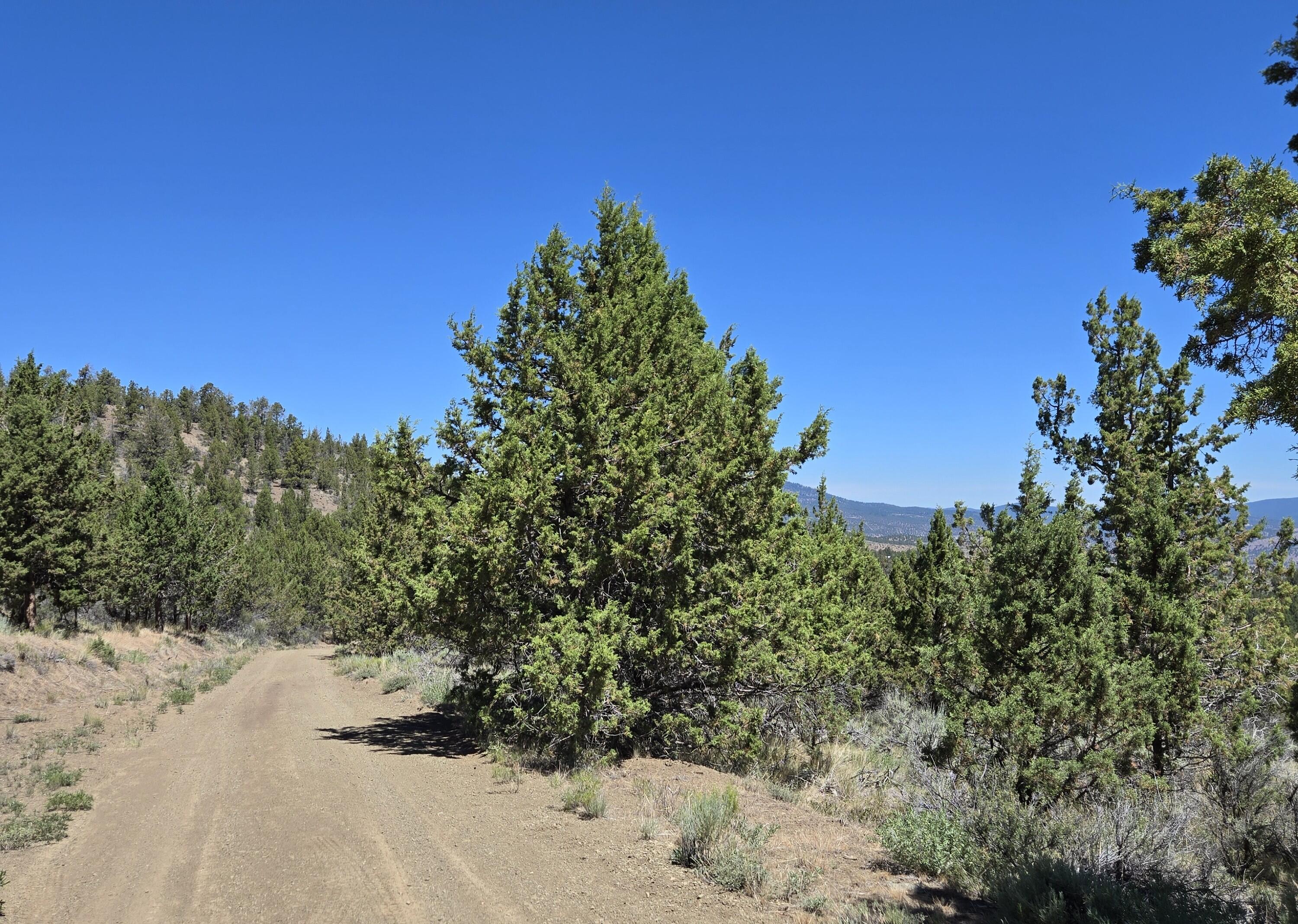 20102 Osprey Road, Unit 800 Prineville, OR 97754 - Photo 15 of 20 20250712_120600