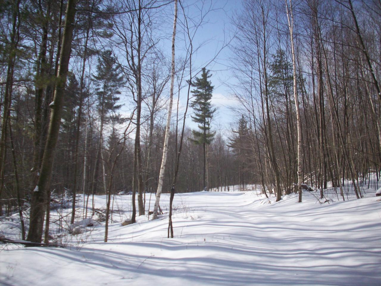 White Oaks Road Pownal, VT 05261 - Photo 3 of 3 Cleared area