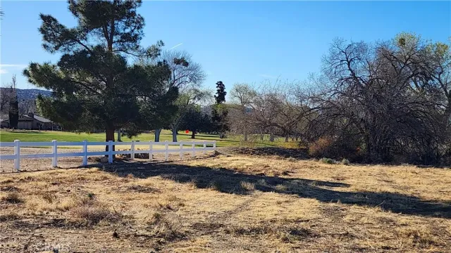 a view of a yard with wooden fence