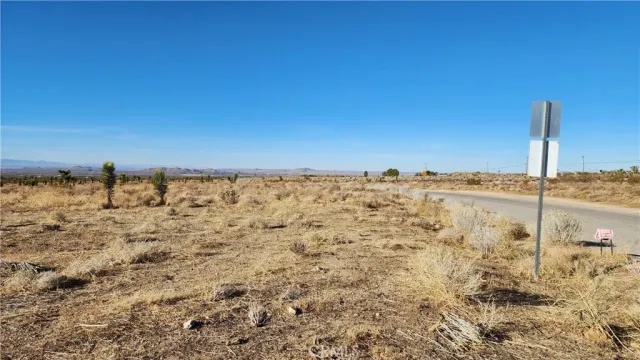 a view of a dry yard with wooden fence