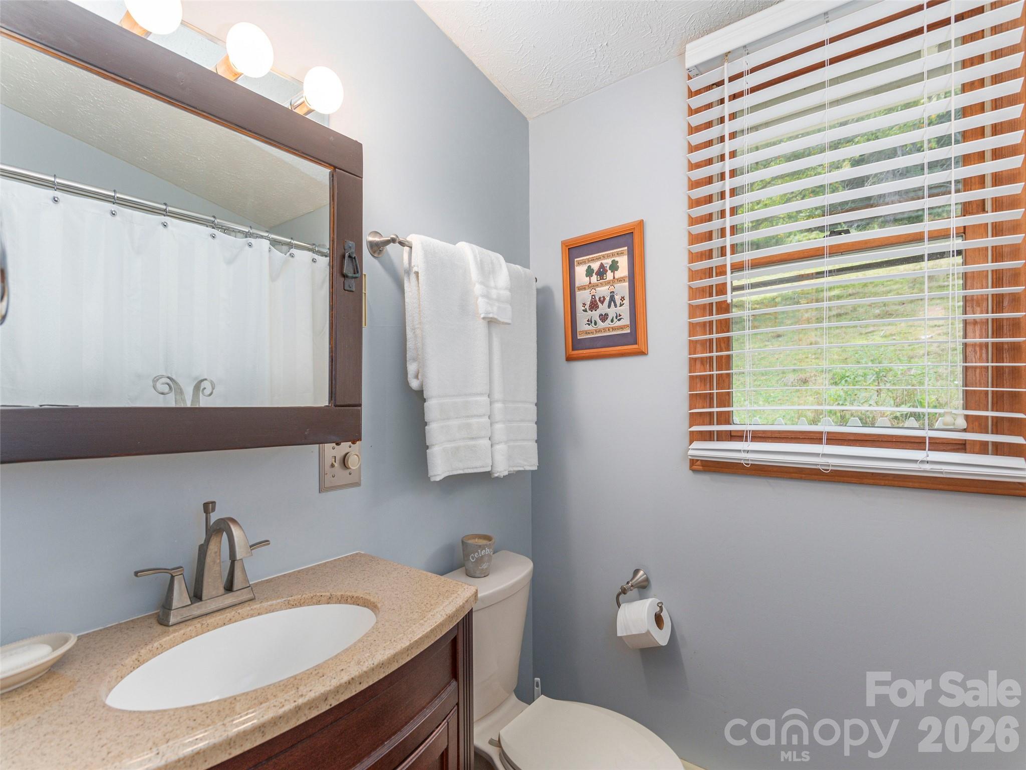 21 Flint Lane Maggie Valley, NC 28751 - Photo 15 of 30 a bathroom with a granite countertop sink toilet a mirror and a window
