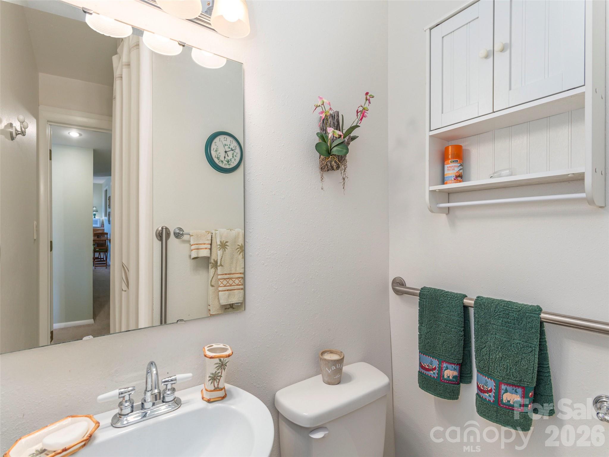 21 Flint Lane Maggie Valley, NC 28751 - Photo 22 of 30 a bathroom with a sink a mirror and a toilet