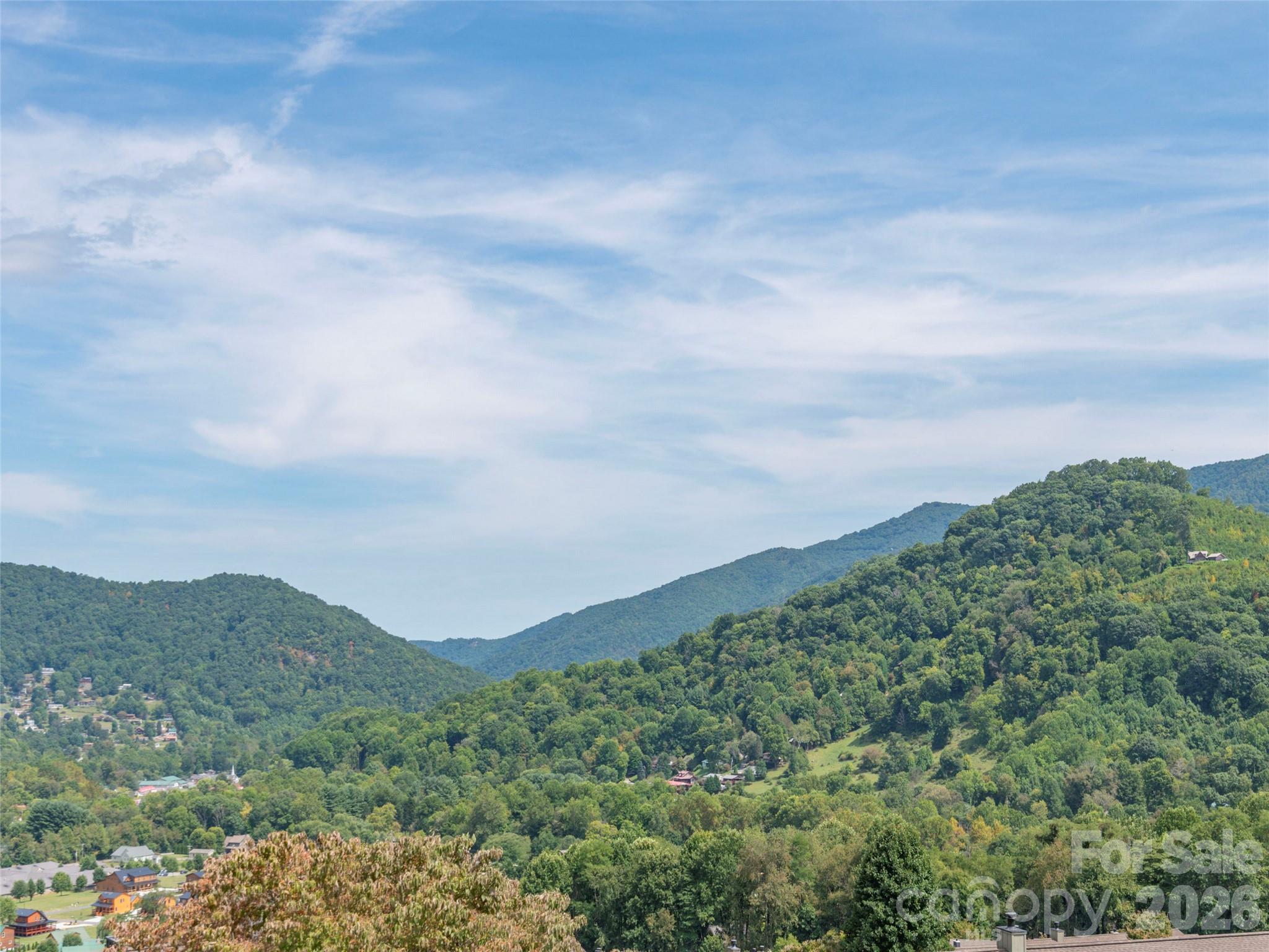 21 Flint Lane Maggie Valley, NC 28751 - Photo 5 of 30