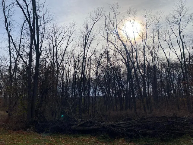 $179,900 | 1273 East Bridge Street, Lyons, MI 48851