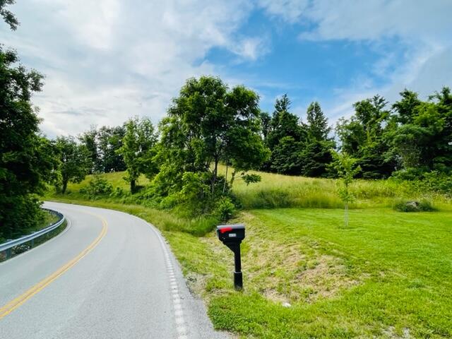 14160 Brown Ridge Road Morehead, KY 40351 - Photo 40 of 47 IMG_0587