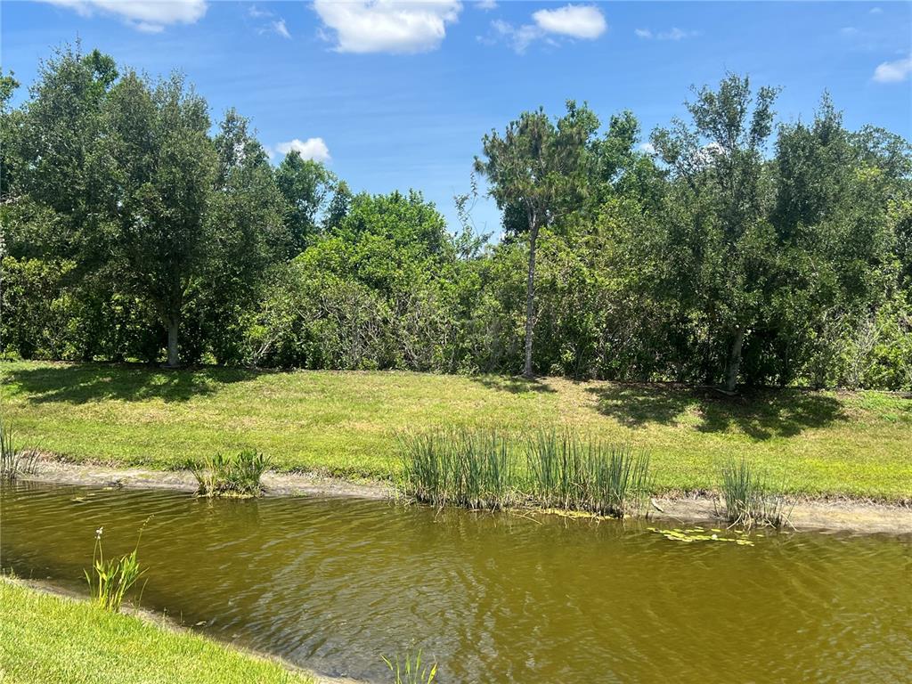 9912 Sheltering Spruce Street Englewood, FL 34223 - Photo 41 of 55 a view of an ocean from a yard