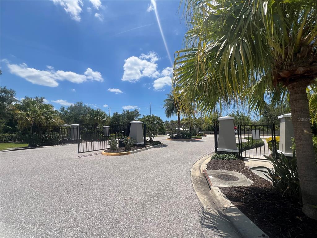 9912 Sheltering Spruce Street Englewood, FL 34223 - Photo 55 of 55 a row of palm trees and swimming pool in the backyard of a house