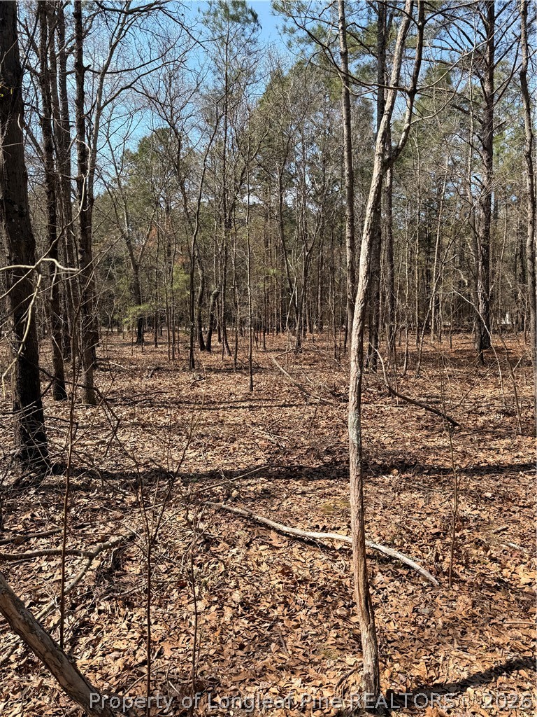 1067 Old Vander Road Fayetteville, NC 28312 - Photo 2 of 2