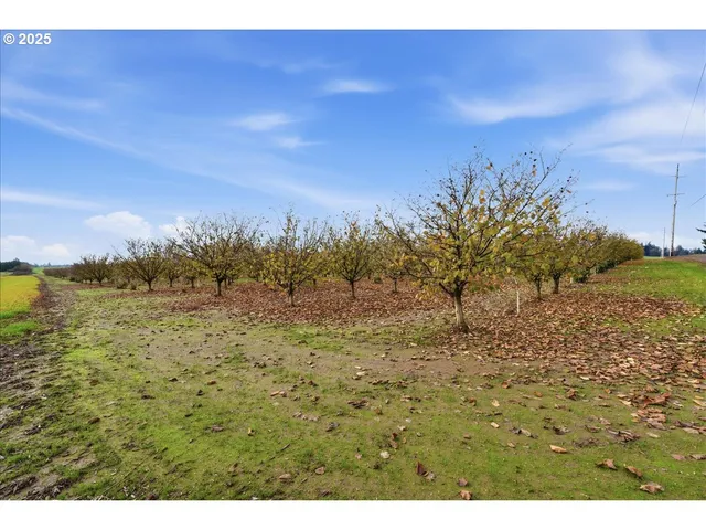 a view of a field with an ocean