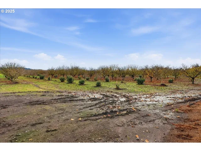a view of an outdoor space with mountain view