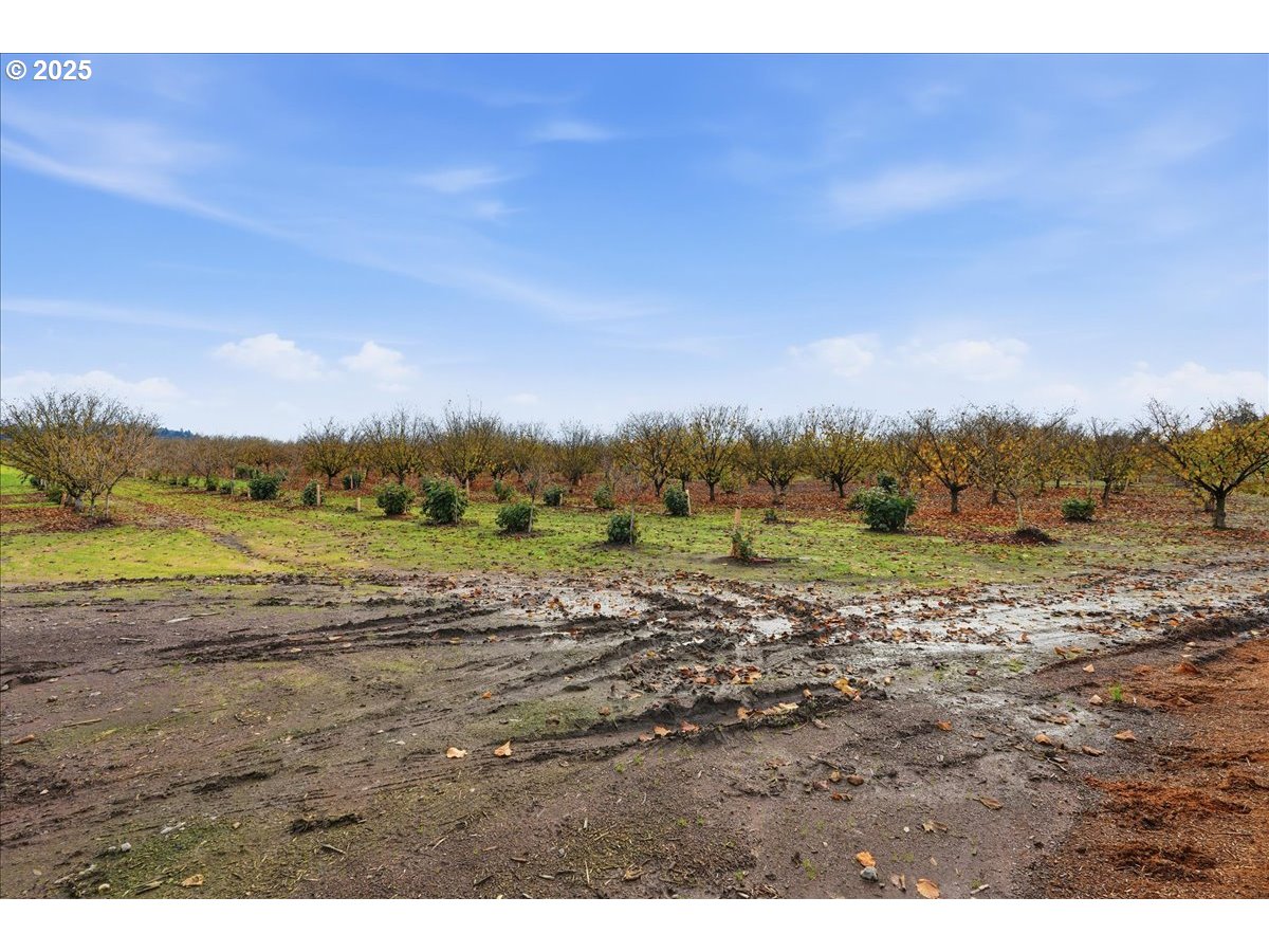 0 Fryer Carlton, OR 97111 - Photo 13 of 17 a view of an outdoor space with mountain view