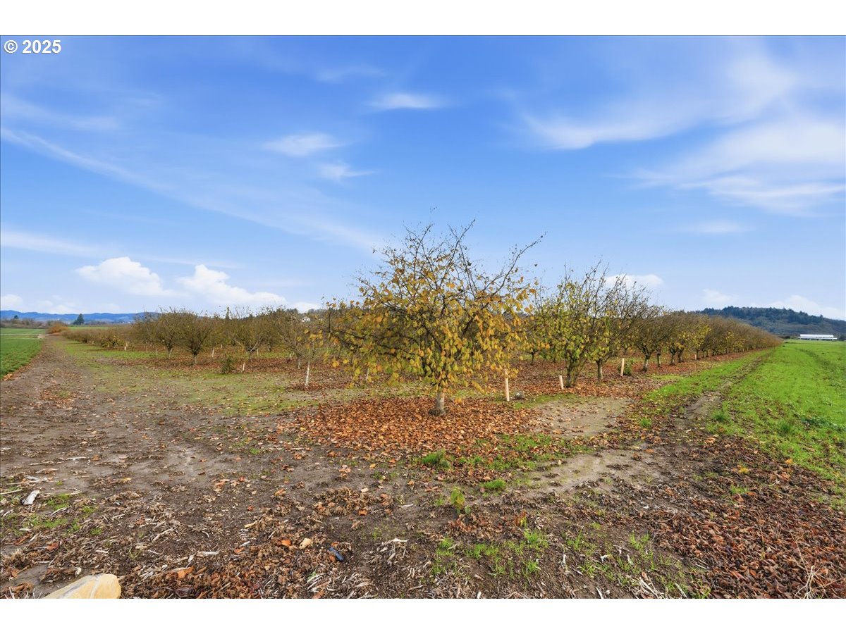 0 Fryer Carlton, OR 97111 - Photo 15 of 17 a view of an ocean with a mountain in the background
