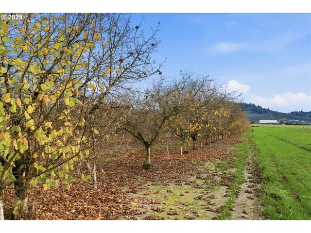 a view of an outdoor space and a yard