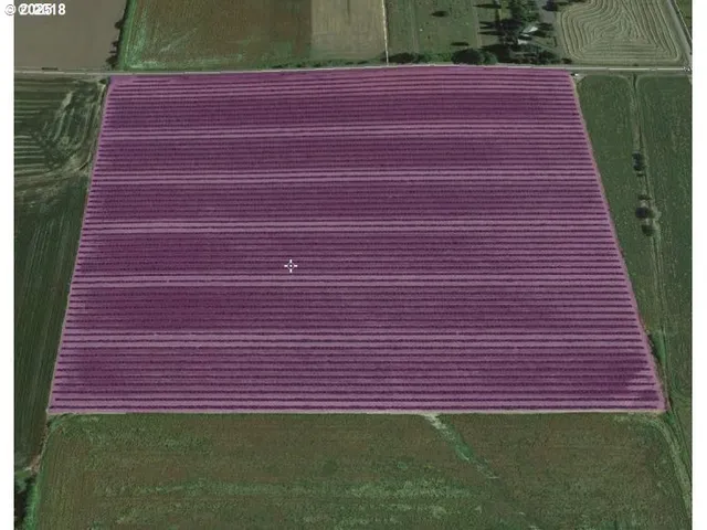 a view of a tennis court