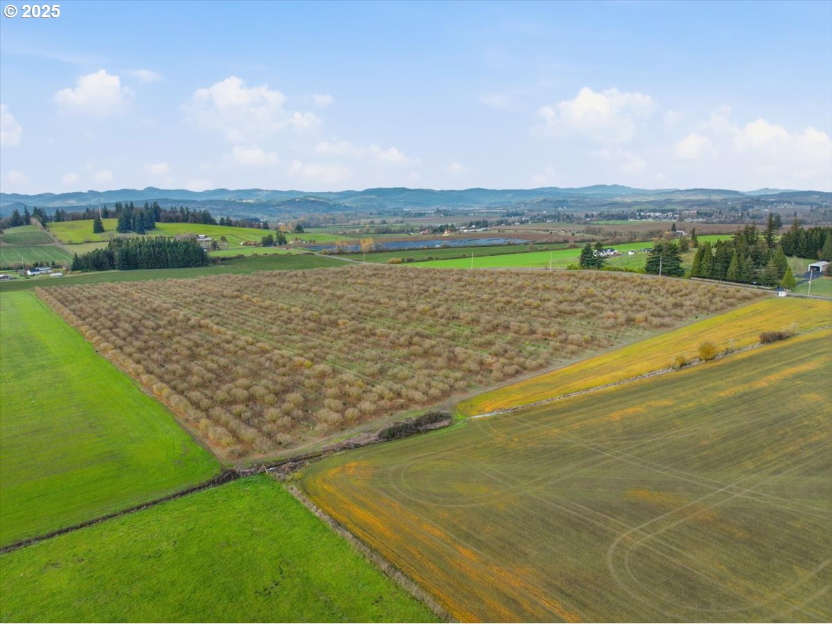0 Fryer Carlton, OR 97111 - Photo 8 of 17 a view of outdoor space and yard