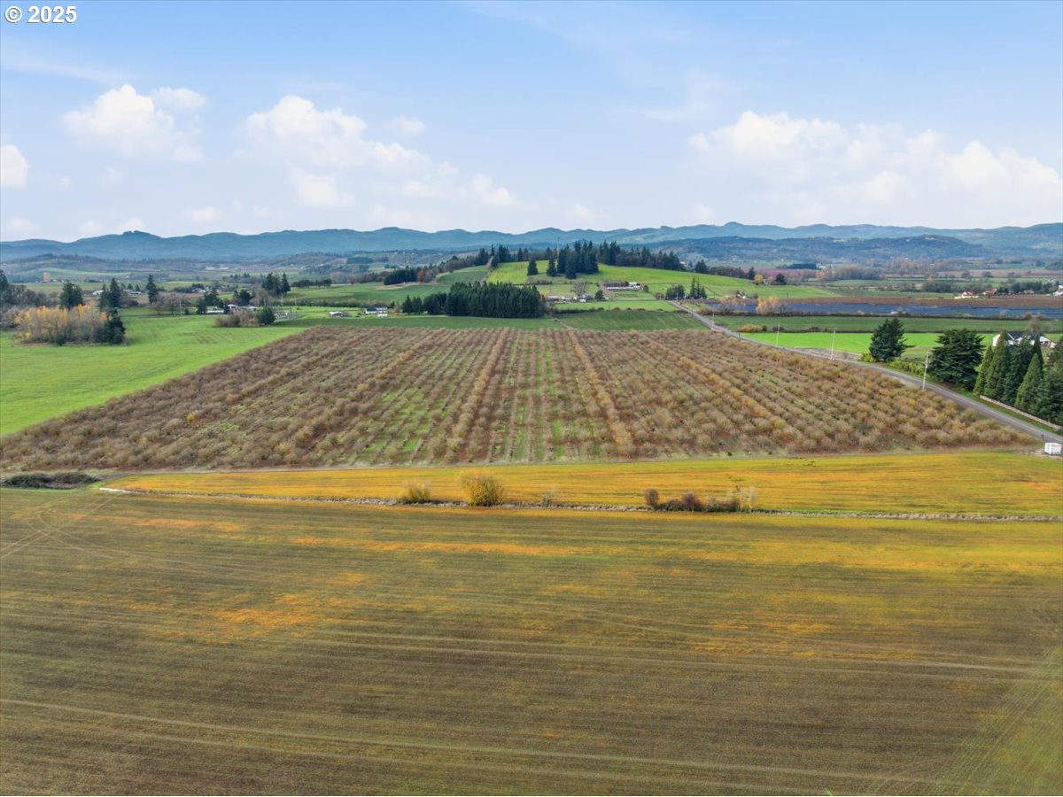 0 Fryer Carlton, OR 97111 - Photo 9 of 17 a view of an ocean and beach