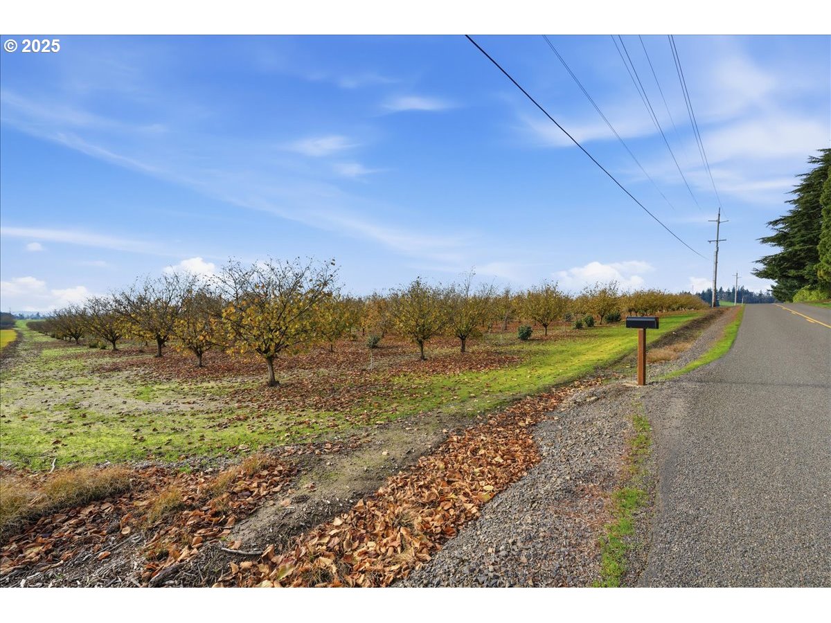 0 Fryer Carlton, OR 97111 - Photo 10 of 17 a view of a field with an trees