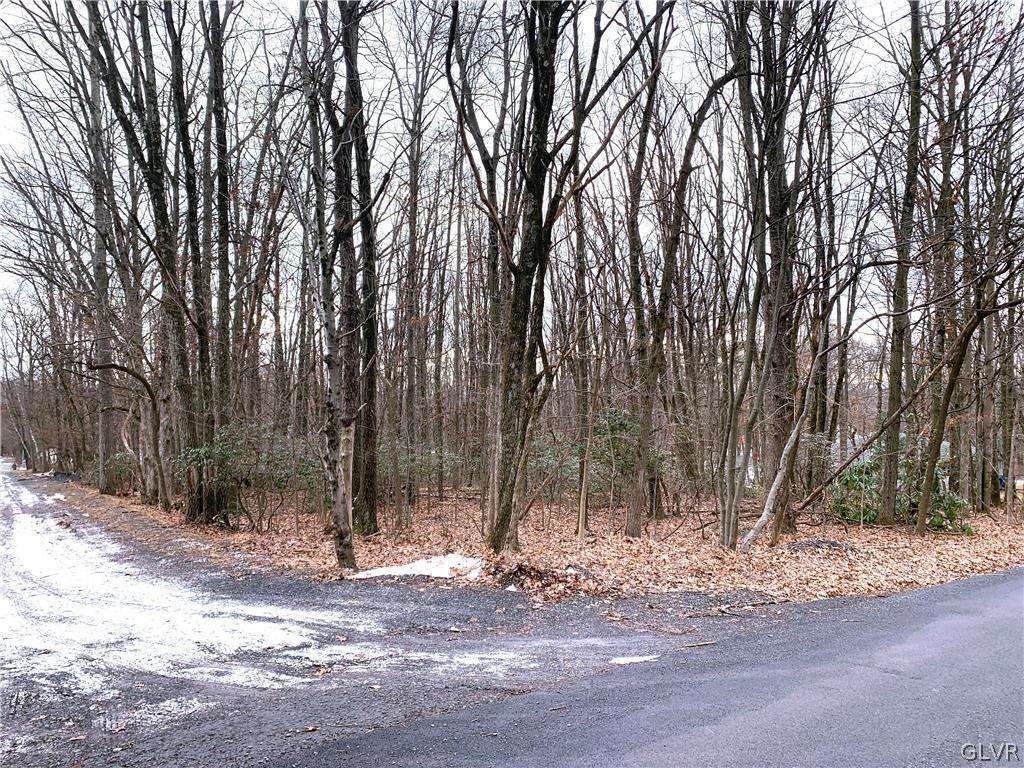302 Roberts Road Effort, PA 18330 - Photo 3 of 11 a view of a backyard with large trees
