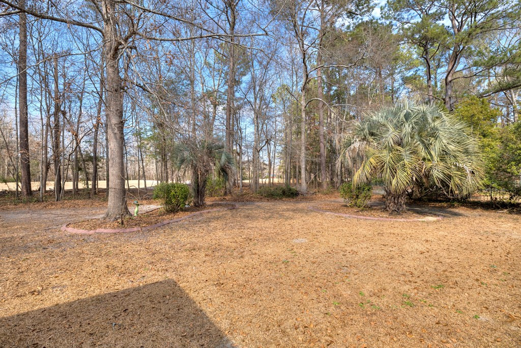 45 Killarney Lane Sumter, SC 29150 - Photo 10 of 68 Gallery Image 10