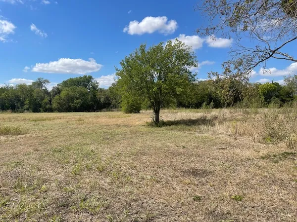 a view of a tree with a yard