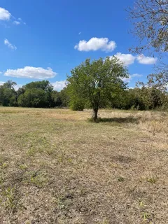 a view of ocean with green space