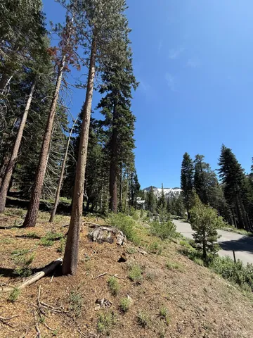 a view of a yard with a sink