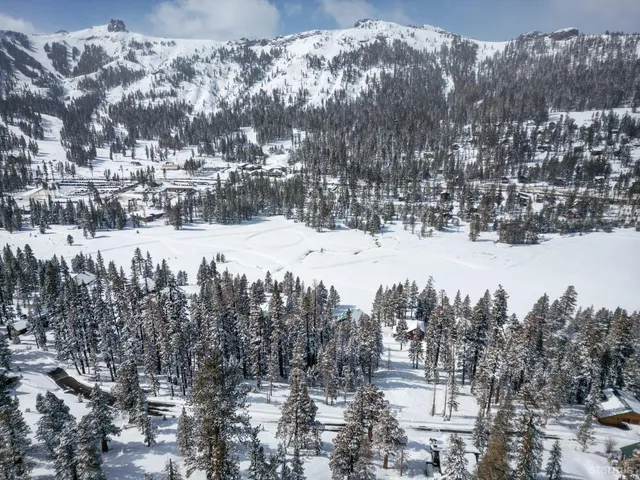 a view of a dry yard with wooden fence