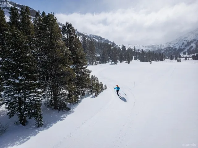a view of a snow with a yard