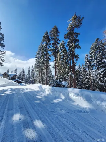 a view of outdoor space and a yard