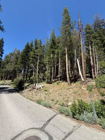 a view of a yard with wooden fence