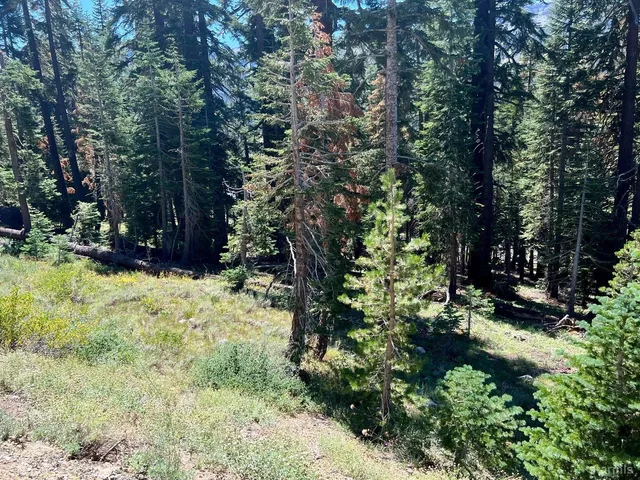 a close up view of a room