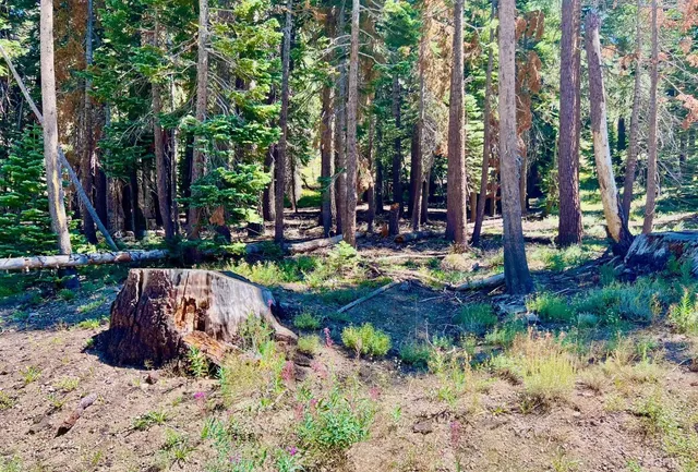 $149,000 | 529 East Meadows Drive, Kirkwood, CA 95646