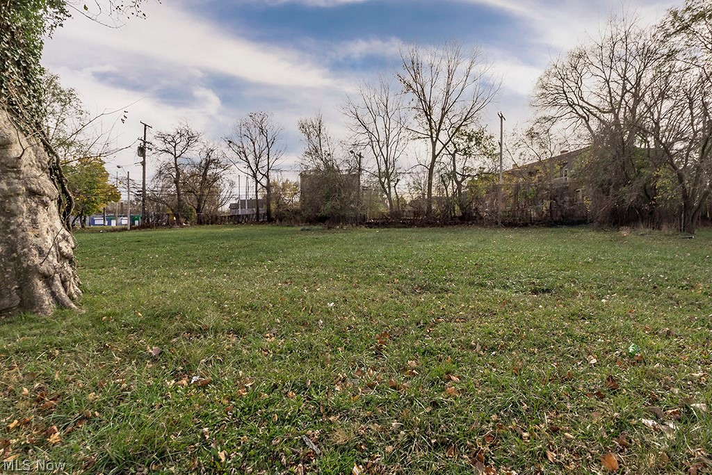 13614 Glenside Road Cleveland, OH 44110 - Photo 3 of 3