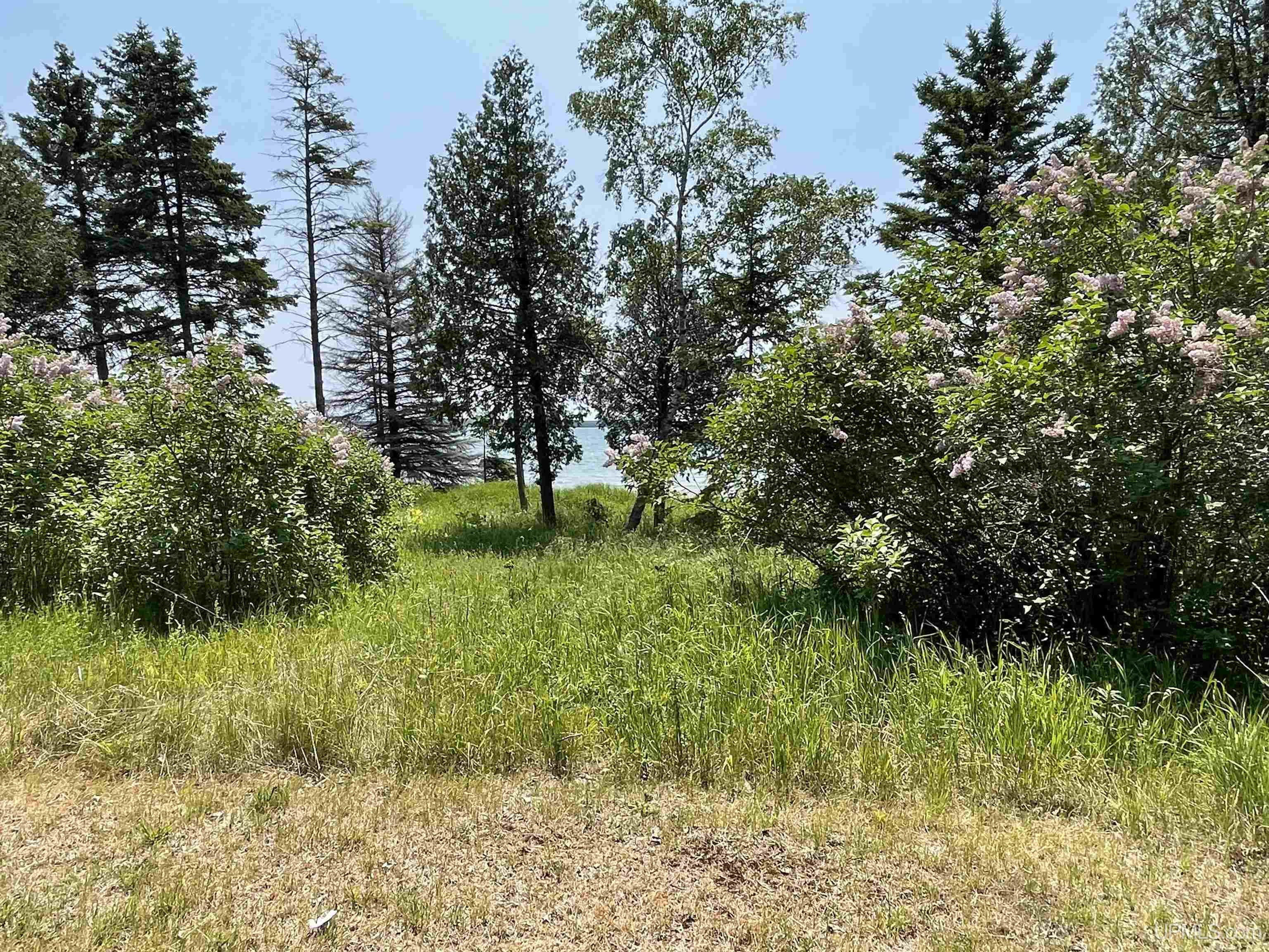 Tbd Ll Road Garden, MI 49835 - Photo 2 of 49